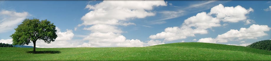 Morris Lawn Service, LLC - Landscape Design, Build & Maintain